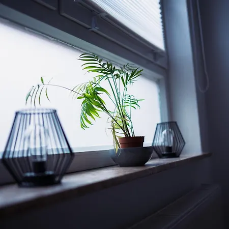 公寓 Schoenes In Der Altstadt , Kostenlose Parkplaetze In Der Naehe *